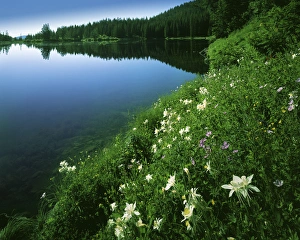 USA, Utah, Uinta-Wasatch-Cache National Forest, Tony Grove Lake