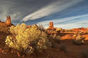 Pinnacle Prints: USA, Utah, Valley of The Gods. Eroded pinnacle formations and rabbit bush. Credit as