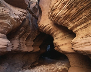 Natural Pattern Prints: USA, Utah, View of sandstone Buckskin Gulch