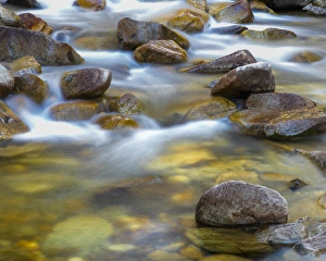 Images Dated 21st September 2015: USA, Utah, Wasatch Cache National Forest. Scenic of Little Cottonwood Creek. Credit as