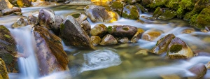 Images Dated 21st September 2015: USA, Utah, Wasatch Cache National Forest. Scenic of Little Cottonwood Creek. Credit as