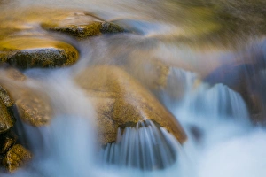 Images Dated 21st September 2015: USA, Utah, Wasatch Cache National Forest. Scenic of Little Cottonwood Creek. Credit as