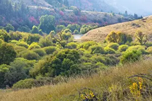 Images Dated 15th September 2015: USA, Utah, Wasatch Mountains. Hardware Ranch Road in forest