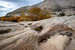 Images Dated 25th August 2019: USA, Utah. Waterpockets and autumnal cottonwood trees, Grand Staircase-Escalante National