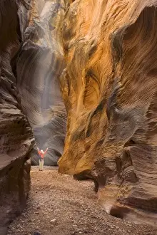 Stretch Prints: USA, Utah, Willis Creek. Woman hiker admiring slot canyon rock formations