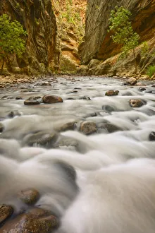 Zion Prints: USA, Utah, Zion Narrows