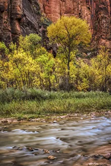 Canyon Wall Prints: USA, Utah, Zion National Park