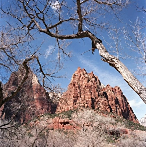 Zion Prints: USA, Utah, Zion National Park