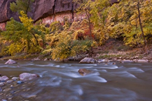 Zion Prints: USA, Utah, Zion National Park. Autumn on the Virgin River