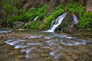David Svilar Prints: USA, Utah, Zion National Park. Big Springs in the Virgin River Narrows