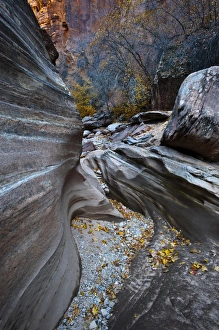 Formation Prints: USA, Utah, Zion National Park. Canyon in fall along Zion-Mount Carmel Highway. Credit as