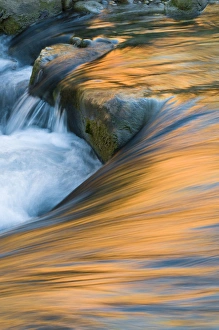 Images Dated 8th November 2008: USA, Utah, Zion National Park. Canyon and sky reflections in Virgin River. Credit as