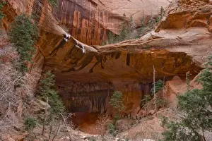 Images Dated 25th March 2009: USA, Utah, Zion National Park, Double Arch Alcove with Canyon Walls and Sheer Cliffs
