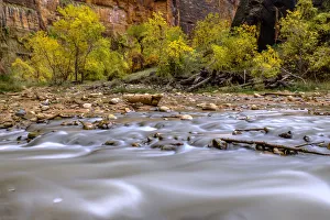 Zion Prints: USA, Utah, Zion National Park, fall colors, water