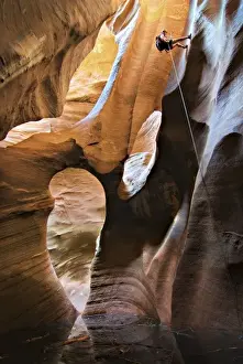 USA, Utah, Zion National Park. A female canyoneer rappels into the Golden Cathedral of Pine Creek