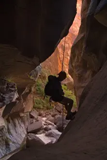 Images Dated 12th June 2007: USA, Utah, Zion National Park. A female canyoneer rappels in Pine Creek slot canyon. (MR)