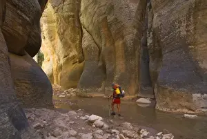 David Svilar Prints: USA, Utah, Zion National Park. A female hiker in the Virgin River Narrows. (MR)