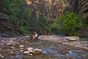 USA, Utah, Zion National Park. Two hikers in the Virgin River Narrows. (MR)