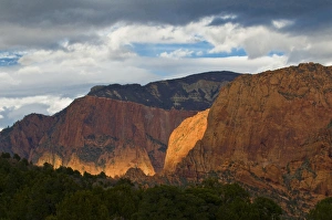 Images Dated 31st October 2008: USA, Utah, Zion National Park. Late light on Kolob Canyon