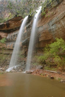 Images Dated 23rd April 2007: USA, Utah, Zion National Park, Lower Emerald Pool