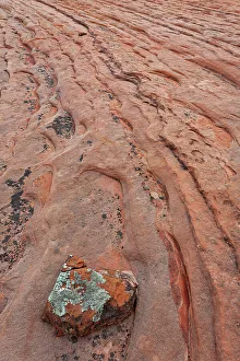 Sandstone Prints: USA, Utah, Zion National Park. Patterns of erosion in sandstone