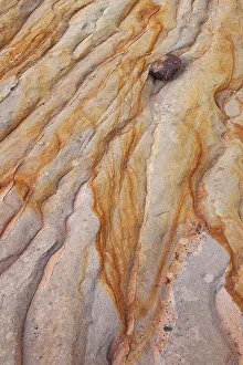 Erosion Prints: USA, Utah, Zion National Park. Patterns of erosion in sandstone