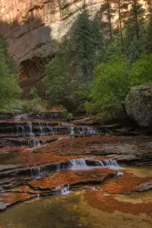 David Svilar Prints: USA, Utah, Zion National Park. Scenic from the Subway on the Left Fork