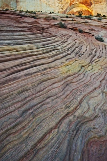 Nancy Rotenberg Prints: USA, Utah, Zion National Park. Slick rock and red rock in late light