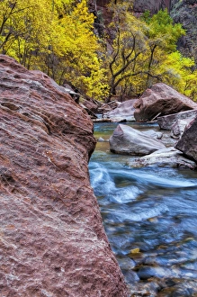 Images Dated 10th November 2008: USA, Utah, Zion National Park. Stream in autumn landscape