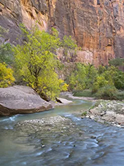 Images Dated 26th July 2019: USA, Utah. Zion National Park, Virgin River