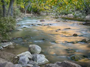 Images Dated 26th July 2019: USA, Utah. Zion National Park, Virgin River