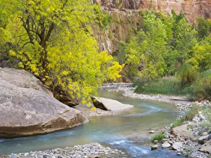 Images Dated 26th July 2019: USA, Utah. Zion National Park, Virgin River