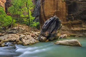 Images Dated 30th November 2018: USA, Utah, Zion National Park. Virgin River at The Narrows