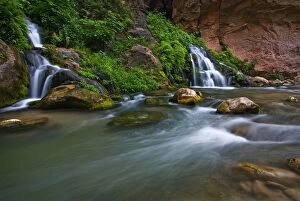 Images Dated 10th June 2007: USA, Utah, Zion National Park. The Virgin River Narrows and Big Springs