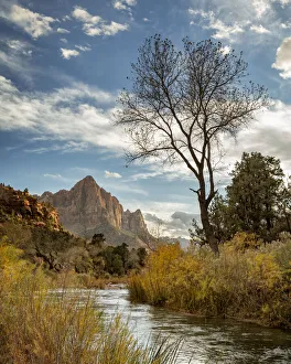 Images Dated 18th September 2019: USA, Utah, Zion National Park, Virgin River and The Watchman near sunset