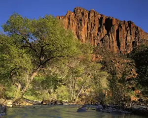 Images Dated 14th May 2013: USA, Utah, Zion National Park, Virgin River below the Watchmen