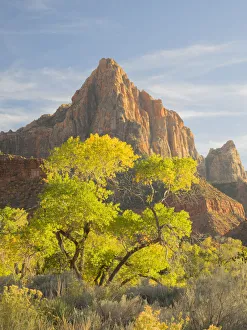 Images Dated 26th July 2019: USA, Utah. Zion National Park, The Watchman