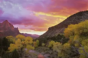 S Eed Prints: USA, Utah, Zion National Park. The Watchman in the distance with Virgin River in