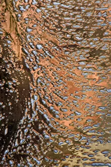 Images Dated 30th October 2006: USA, Utah, Zion National Park. Water abstract
