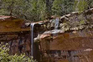 Emerald Prints: USA, Utah, Zion National Park, Water Falls at the Lower Emerald Pools