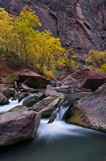 USA, Utah, Zion National Park. Waterfall with cottonwood trees along Riverside Walk