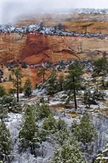 Images Dated 9th November 2008: USA, Utah, Zion National Park. Winter scenic