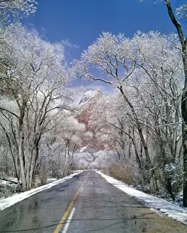 Roadway Prints: USA, Utah, Zion NP. Snow melts on the roadway in Zion National Park, Utah