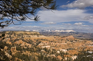 Images Dated 2nd April 2006: USA, Utha, Bryce Canyon National Park, Bryce Canyon