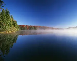 Reservoir Prints: USA, Vermont, Adams Reservoir, Woodford State Park, Autumn trees reflected in reservoir