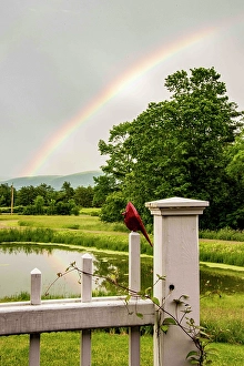 Vermont Prints: USA, Vermont, Addison County. Pond with rainbow