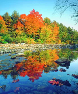 Vermont Prints: USA, Vermont, Autumn Colors reflecting in a stream in Vermont
