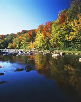 USA, Vermont, Autumn trees reflected in Deerfield River