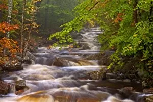 Images Dated 9th October 2005: USA, Vermont, East Arlington, Flowing streams along the Appalachian Trail