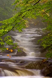 Images Dated 9th October 2005: USA, Vermont, East Arlington, Flowing streams along the Appalachian Trail